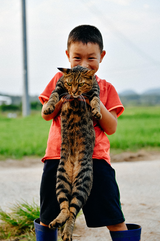 猫としょうご君牛